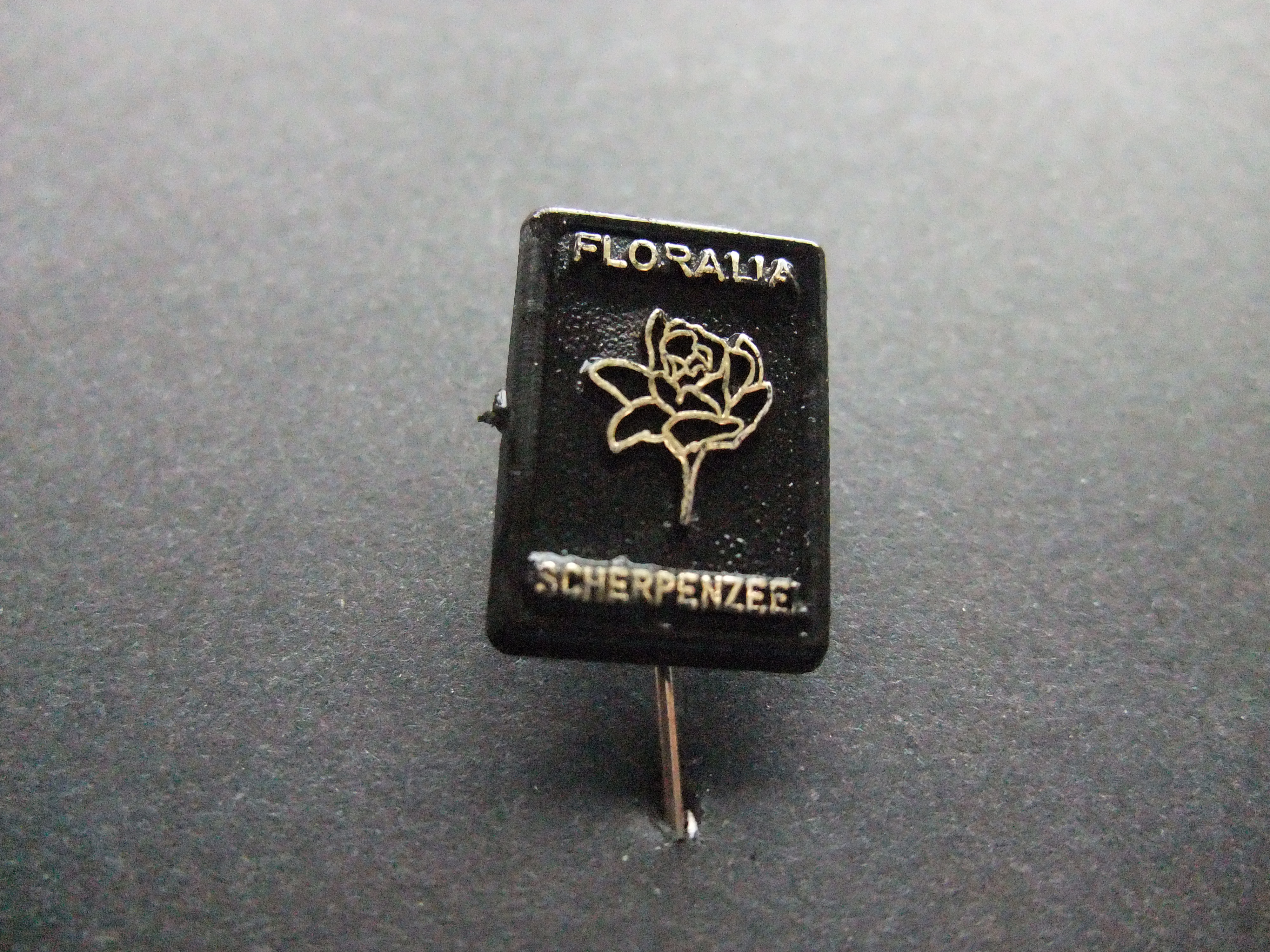 Floraliavereniging, bloemen  Scherpenzeel